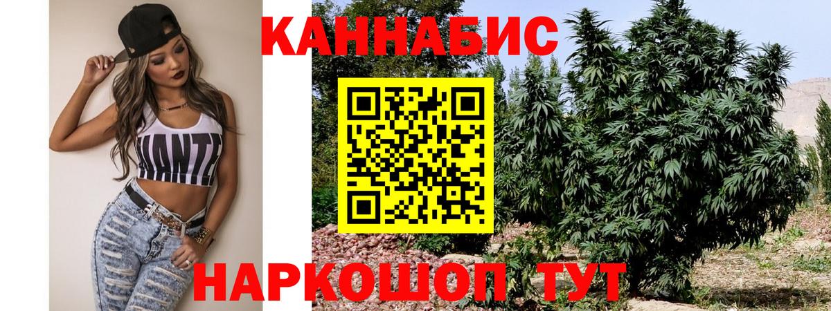 Бошки марихуана планчик  Каннабис конопля  Иваново  Конопля AK-47  Вход с VPN  Канабис тримм 